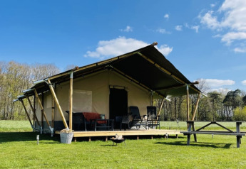 Safari tent at Minicamping Falkenborg in the Netherlands with wooden deck, chairs, and open grassy field.