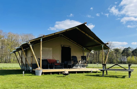 Safari tent at Minicamping Falkenborg in the Netherlands with wooden deck, chairs, and open grassy field.