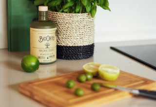 Atmosphärenbild Küche Ferienhaus - Vodatent - Brinckerduyn - Appelscha - Friesland - Niederlande