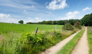 Idyllischer Weg durch grüne Felder und Wiesen unter blauem Himmel in einem Glamping-Ferienpark.