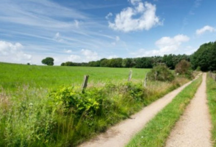 Camino pintoresco entre campos verdes y cielo azul en parque vacacional con alojamiento glamping.