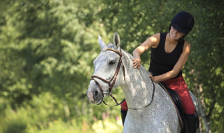 Una persona con casco de equitación acaricia un caballo blanco montando por un paisaje verde cerca de Balen, Bélgica.