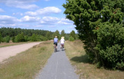 Cyclists on bike path near Sonnenberg, Sonnenberg campsite, Muden, Lower Saxony, Germany
