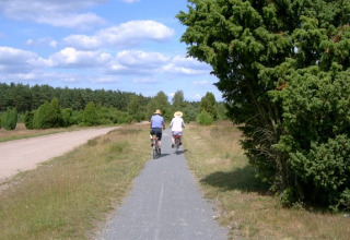 Ciclistas en el carril bici cerca de Sonnenberg, camping Sonnenberg, Muden, Baja Sajonia, Alemania