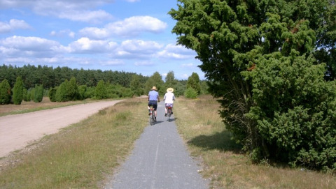 Ciclisti sulla pista ciclabile vicino a Sonnenberg, campeggio Sonnenberg, Muden, Bassa Sassonia, Germania