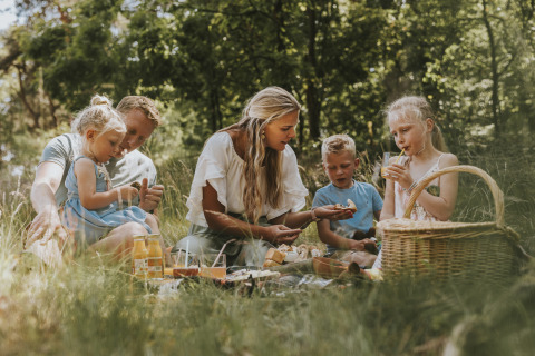 Gezin geniet van een picknick in het gras bij Beerze Bulten, een vakantiepark in Overijssel, Nederland.