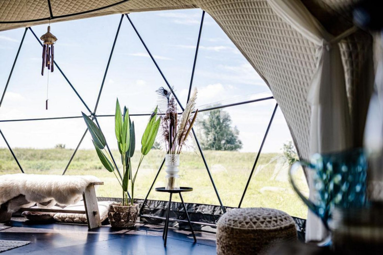 Vista interior del Cast Away Dome en TinyParks Cast Away, Países Bajos, con decoración acogedora y plantas.