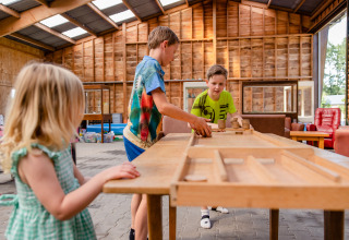 Play barn shuffleboard - Charmecamping and Apartments De Regge-Vallei - Den Ham - Overijssel - Netherlands