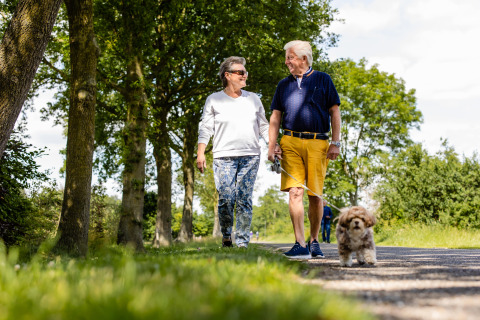 Pareja mayor paseando con su perro en un día soleado cerca de Den Ham, Overijssel, Países Bajos.