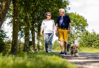 Älteres Paar spaziert mit Hund an einem sonnigen Tag durch grüne Umgebung bei Den Ham, Overijssel.