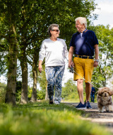 Ouder stel wandelt met hun hond op een zonnige dag in de buurt van Den Ham, Overijssel, Nederland.