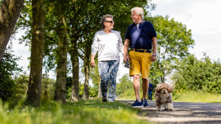 Ouder stel wandelt met hun hond op een zonnige dag in de buurt van Den Ham, Overijssel, Nederland.