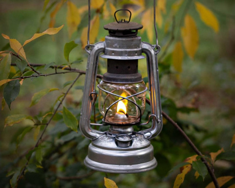 Une lanterne à pétrole ancienne suspendue à une branche, forêt de Cosy Cabins dans le Limbourg belge.