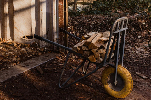 A wheelbarrow loaded with firewood stands by a shed in the Limburg forest, Belgium, in sunlight.