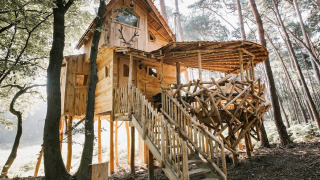 Casa del árbol de madera elevada entre altos árboles en un bosque iluminado por el sol, con un balcón rústico y escaleras.