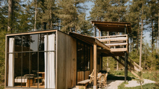 Een moderne houten lodge, Treetrunk van Cosy Cabins, in het Limburgse bos in België met grote ramen.