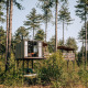Treetop træhus ved Cosy Cabins i Limburgs skove i Belgien, omringet af høje træer og grøn natur.