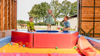 Kinderen spelen en springen in een kleurrijke ballenbak op CharmeCamping De Regge-Vallei, Overijssel.
