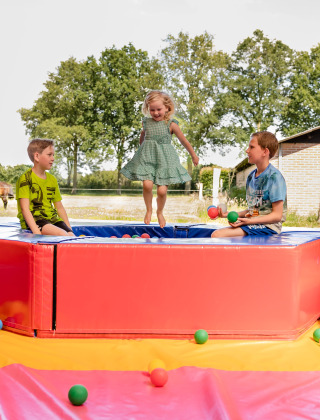 Niños jugando y saltando en una piscina de bolas en CharmeCamping De Regge-Vallei, Overijssel, Países Bajos.