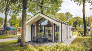 Lodge Ecovilla moderna en Holiday park Ackersate, Países Bajos, rodeada de árboles y vegetación verde.