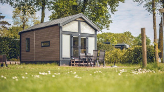 Tiny house at Holiday park Ackersate in the Netherlands, surrounded by trees, grass, and outdoor seating.