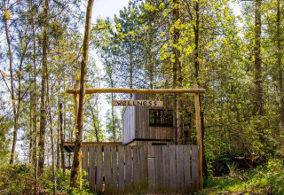 Wooden wellness area in the forest at Cosy Cabins, Belgian Limburg holiday park, surrounded by trees.