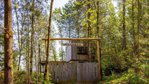 Area benessere in legno nella foresta presso Cosy Cabins, parco vacanze Limburg, Belgio, immersa negli alberi.