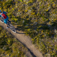 Vista aérea de una persona en bicicleta recorriendo un sendero de tierra rodeado de vegetación en un parque.