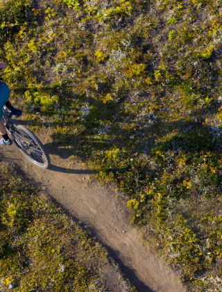 Luftaufnahme einer Person mit Helm und Rucksack, die auf einem Pfad im Grünen eines Ferienparks radelt.