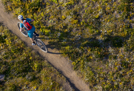 Vista aérea de una persona en bicicleta recorriendo un sendero de tierra rodeado de vegetación en un parque.