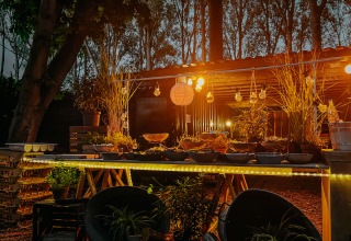 Outdoor dining setup with string lights, plants, and trees at dusk at Buitengoed Ruysbos, Gelderland.