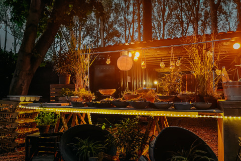 Espacio exterior iluminado con guirnaldas de luces y plantas al anochecer en Buitengoed Ruysbos, Gelderland.