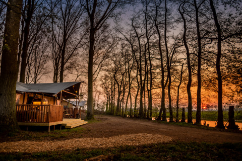 Atardecer en cabañas en los árboles del parque Buitengoed Ruysbos en Gelderland, Países Bajos, rodeadas de bosque.