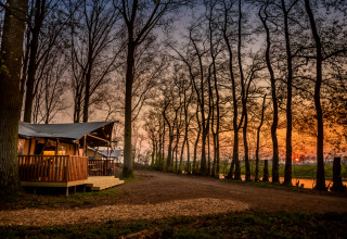 Solnedgang ved træhytter på ferieparken Buitengoed Ruysbos i Gelderland, Holland, omgivet af skov.