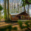 A peaceful cabin at Buitengoed Ruysbos holiday park in Gelderland, Netherlands, surrounded by tall trees.