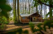 A peaceful cabin at Buitengoed Ruysbos holiday park in Gelderland, Netherlands, surrounded by tall trees.