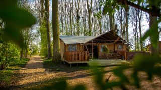 Een rustieke lodge in Buitengoed Ruysbos, een vakantiepark in Gelderland, Nederland, tussen hoge bomen.
