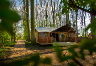 Knusse safaritent op Buitengoed Ruysbos, een vakantiepark in Gelderland, Nederland, omgeven door bos.