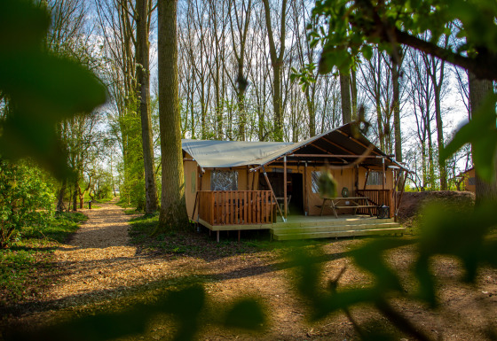 Et afslappende feriested i skoven på Buitengoed Ruysbos i Gelderland, Holland, omgivet af høje træer.