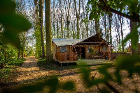 Et afslappende feriested i skoven på Buitengoed Ruysbos i Gelderland, Holland, omgivet af høje træer.
