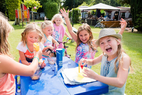Entretenimiento - Camping Vossenberg - Epe, Güeldres - Países Bajos