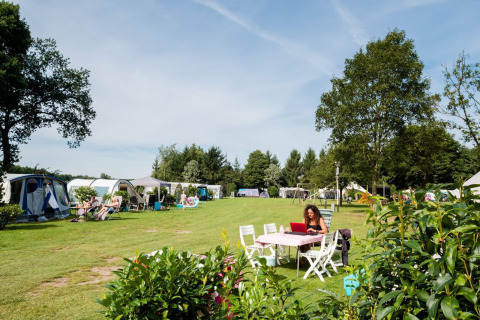 Parcelas de camping - Camping Vossenberg - Epe, Güeldres - Países Bajos