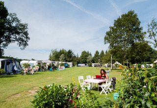Camping pitches - Camping Vossenberg - Epe, Gelderland - Netherlands