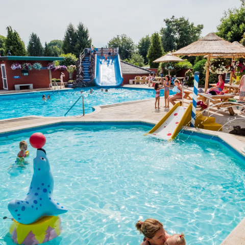 Piscina para niños pequeños - Camping Vossenberg - Epe, Güeldres - Países Bajos
