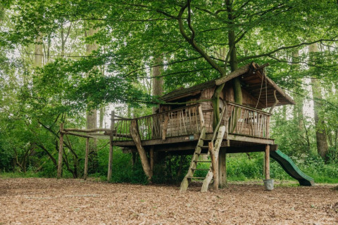 Treehouse with slide in forested area of Buitengoed Ruysbos holiday park, Gelderland, Netherlands.