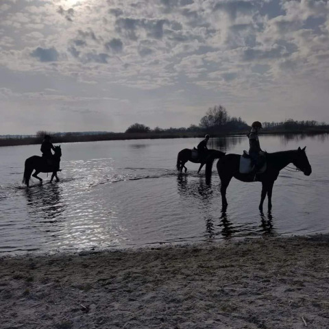 Tre cavalieri a cavallo attraversano acque basse al Camping Eefting, Friesland, sotto un cielo nuvoloso.