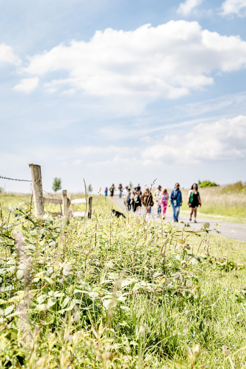 Groene berm met wilde planten, enkele mensen wandelen op een pad onder een bewolkte hemel nabij Zuid-Beijerland.