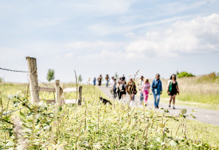 Walking - TinyParks - Cast Away - Tiengemeten - South Holland - Netherlands