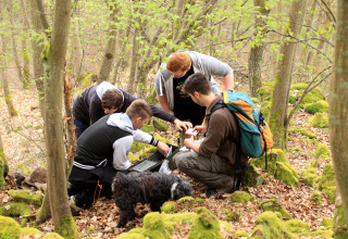 Youth do GPS tour Camping Donnersberg in Gerbach, Rheinland-Pfalz, Germany .