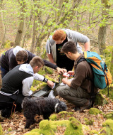 Los jóvenes hacen un recorrido GPS por el Camping Donnersberg en Gerbach, Renania-Palatinado, Alemania .